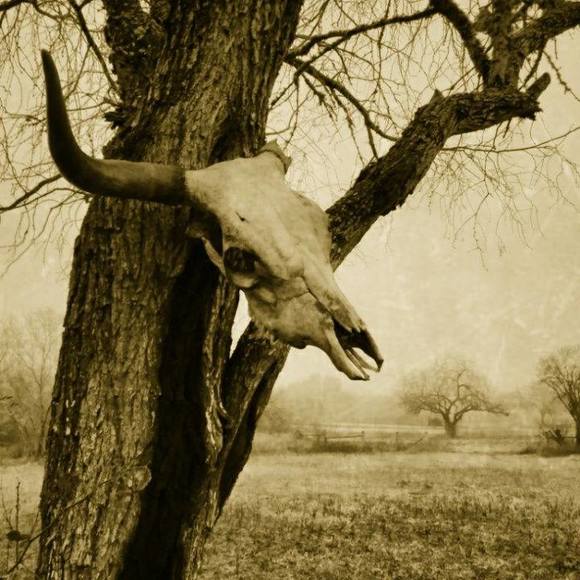 hunt365